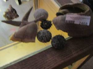 lot 2468 image: shells, starfish and more