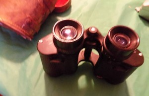 lot 2003 image: Set of Official sportsman 8x30 binoculars