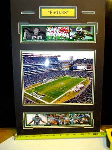 lot 50 image: CUSTOM PHILADELPHIA EAGLES 13 X 20 TRIBUTE WALL DISPLAY READY TO FRAME