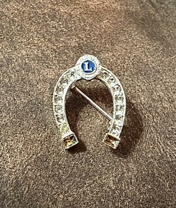lot 87 image: Horseshoe Lioness International Vintage Brooch Pin