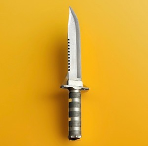 lot 32 image: Fixed Blade Wilderness SurvivalHunting Knife W8 inch Blade