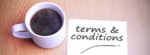 lot 6 image: TERMS & CONDITIONS