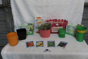 lot 308 image: Mixed plant kits see all pictures