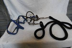 lot 311 image: Horse lead harness