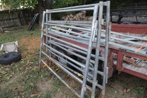 lot 454 image: 3-Cattle Gates 74x60