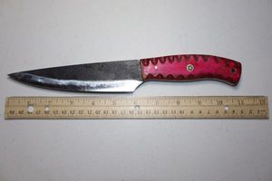 lot 257 image: 6.5 blade hunting knife with textured top.  Pinkred wood grain handle.
