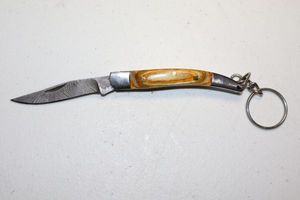 lot 46 image: Keychain folding pocket knife