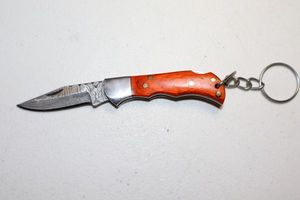 lot 47 image: Keychain folding pocket knife