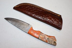 lot 300 image: Straight back hunting knife with Sheath