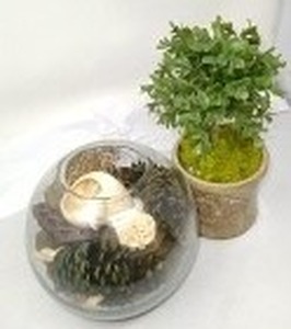 lot 68 image: 2 PLANT DCOR PIECES - 2 piece lot. 1 succulent Terrarium bowl. 2 Artificial plant whandmade flowerpot. 11L x 4W.