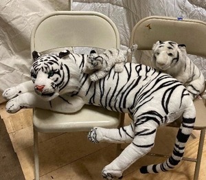 lot 267 image: 3 Whie Tigers stuffed animals. Like New Big One is 34L  9T  7W   Small One is 8L  3W  2T