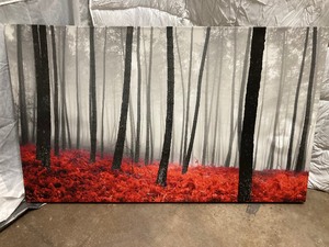 lot 187 image: LARGE PICTURE ON CANVAS. RED, BLACK AND GREY UNFRAMED 36T x 60W.