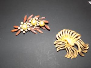 lot 145 image: Cathe broaches x 2