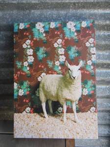 lot 313 image: Llama canvas art