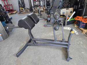 lot 31 image: FMI Adjustable Back Extension Machine