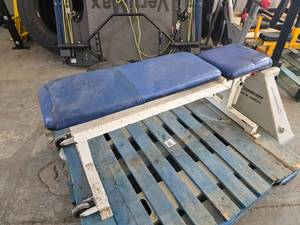 lot 49 image: Pro Maxima Adjustable Incline Bench