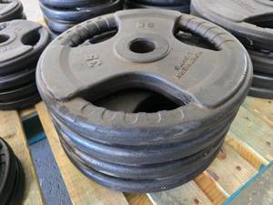 lot 81 image: Lot of 4 Northern Lights 35lb Plate Weights