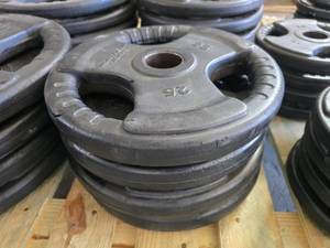 lot 82 image: Lot of 4 Northern Lights 25lb Plate Weights