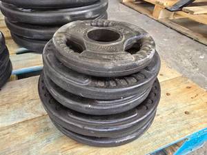 lot 85 image: Lot of Misc Northern Lights Plate Weights.  Includes 2.5lb, 5lb (Qty 2) & 10lb (Qty 2)