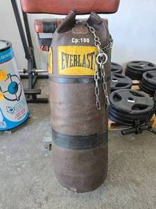 lot 130 image: Everlast 100lb Punching Bag