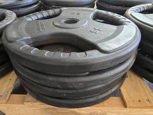 lot 75 image: Lot of 4 Northern Lights 45lb Plate Weights