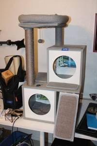lot 78 image: Cat climbing tower