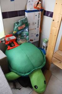 lot 33 image: Turtle floatie, Badminton outdoor game