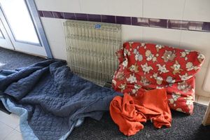 lot 34 image: Dog kennel with pillow and quilted cover