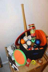 lot 137 image: Sports balls and toys