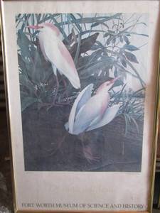 lot 117 image: framed the birds of Texas art
