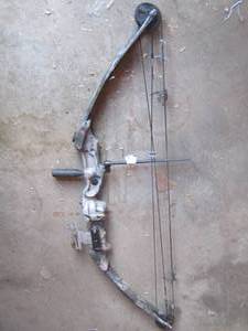 lot 205 image: bear wintertail bow