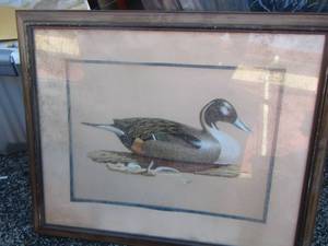 lot 220 image: framed duck art