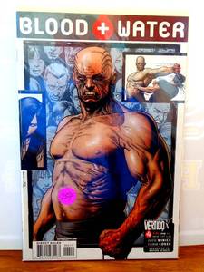 lot 254 image: Blood and Water #4 2003 Vertigo High Grade Comic Book $$