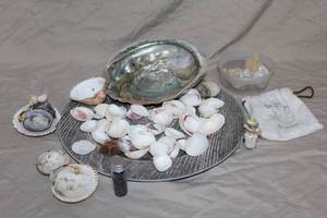 lot 118 image: variety of seashells and broken quartz