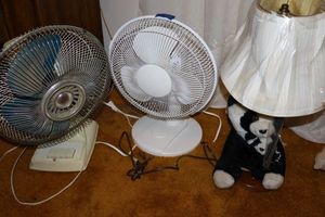 lot 98 image: Panda lamp and oscillating fans