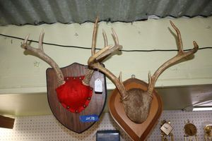 lot 138 image: Wall mount antlers - 2 total