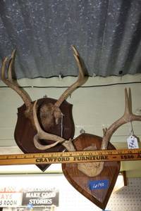 lot 140 image: Wall mount antlers - 2 total