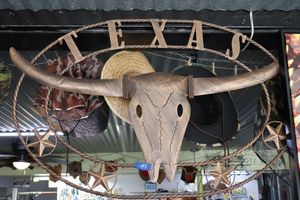lot 493 image: Texas metal cattle head sign