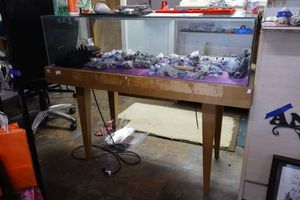lot 353 image: Displaystorage cabinet only