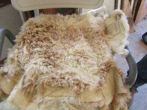 lot 56 image: sheep fur