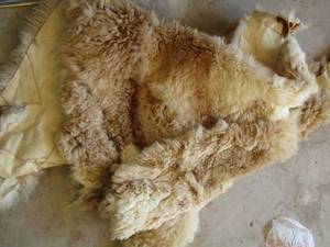 lot 57 image: sheep fur
