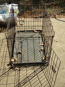 lot 66 image: small animal kennel