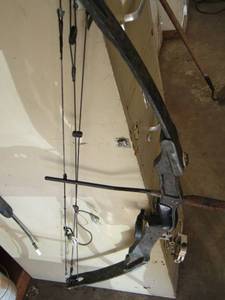 lot 81 image: COMPOUND BOW