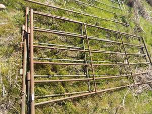 lot 558 image: live stock gates 10 ft. qty 2