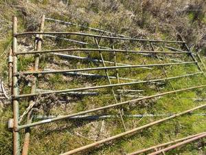 lot 559 image: live stock gates 10 ft. qty 2