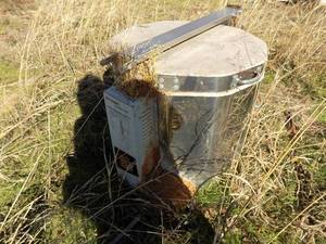 lot 563 image: paragon kiln