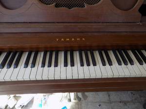 lot 585 image: Yamaha Piano  sh561293