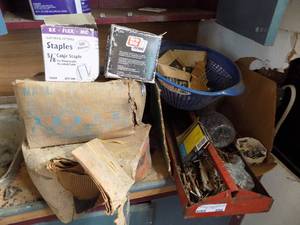 lot 606 image: misc. nails and screws and more