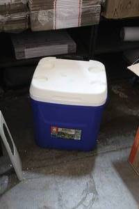 lot 222 image: 90 can igloo cooler