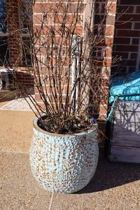 lot 162 image: Enamel covered planter with live perennial plant